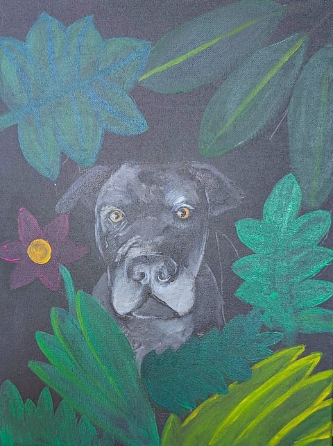Gray dog with golden eyes surrounded by colorful illustrated flowers and foliage on dark background