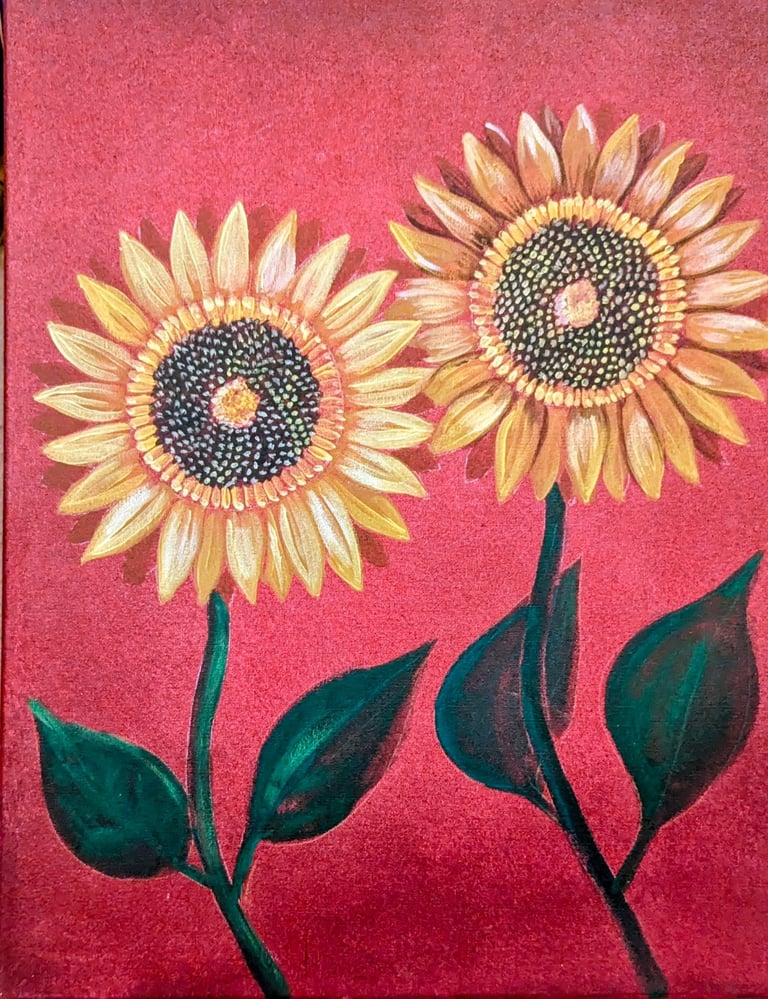Two yellow sunflowers with dark centers and green stems on a vibrant pink background
